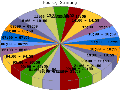 Hourly Summary: Percentage of the requests by Hour.