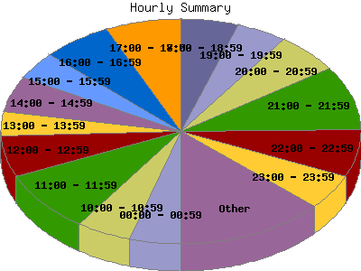 Hourly Summary: Percentage of the requests by Hour.