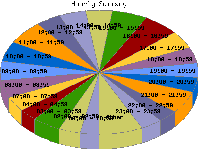 Hourly Summary: Percentage of the requests by Hour.