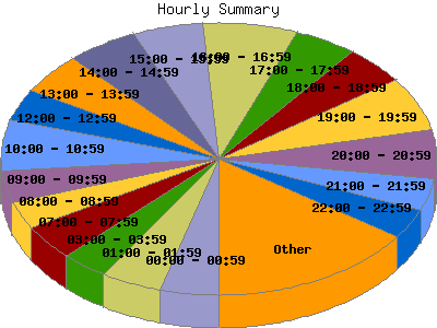 Hourly Summary: Percentage of the requests by Hour.