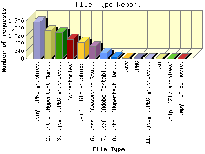 File Type Report: Number of requests by File Type.