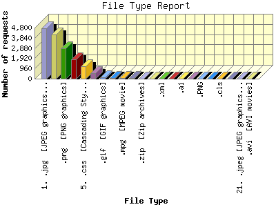 File Type Report: Number of requests by File Type.