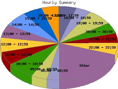 Hourly Summary: Percentage of the requests by Hour.