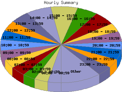 Hourly Summary: Percentage of the requests by Hour.