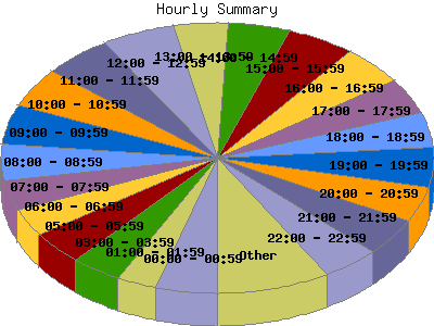 Hourly Summary: Percentage of the requests by Hour.
