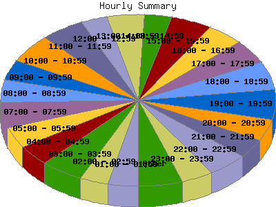 Hourly Summary: Percentage of the requests by Hour.