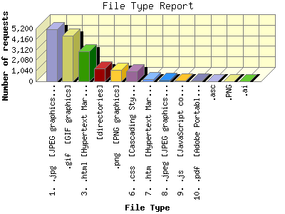 File Type Report: Number of requests by File Type.