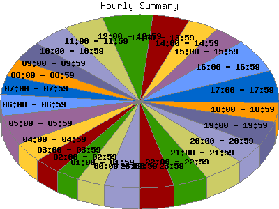 Hourly Summary: Percentage of the requests by Hour.