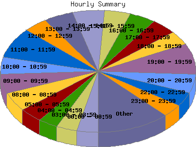 Hourly Summary: Percentage of the requests by Hour.
