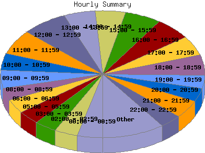 Hourly Summary: Percentage of the requests by Hour.